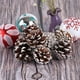 thumbnail image 4 of Piñas naturales para adornos de árbol de Navidad | Piñas con borde blanco para decoraciones navideñas, 4 of 4