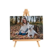 4x6 Mini Photo Canvas with Easel