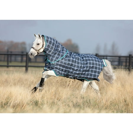 Rhino Plus Pony Turnout Blanket (200g Medium 100g Hood) Navy Check (Teal Trim) Size: 54