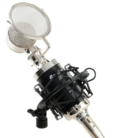 Professional Studio Sound Recording Condenser Microphone w/ Shock