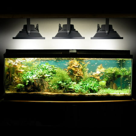 Biltek 30W LED Aquarium Flood Light COOL White High Power Fish Tank Lighting Reef Plant Decor Salt Fresh H2O Main Lighting, Sub Lighting, Fresh Water Tanks, Salt Water