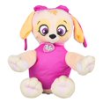 thumbnail image 3 of Peluche avec jeté Paw Patrol Skye "Forever Fun", 3 of 4