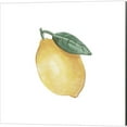 thumbnail image 2 of Great Art Now Citrus Limon by Bannarot 3 Piece Canvas Art Set Each 14W x 14H, 2 of 4