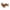 Brown, variant on Bnwani Hey Dudor Shoes Flower Shoes Girl Kids Sandals Baby Toddler Soft-Soled Elastic Casual Cute Sandals Black Size 11