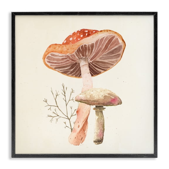 Stupell Industries Farmhouse Forest Botanical Woodland Plants Black Framed Giclee Art, 12 x 12, by Lucca Sheppard