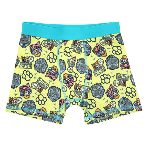 Scooby Doo Classic Cartoon Characters 5-Pack Boxer Briefs Set