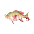 thumbnail image 2 of Popp, Grace 24x14 White Modern Wood Framed Museum Art Print Titled - Chromatic Catch II, 2 of 4