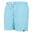 thumbnail image 3 of Regatta Mens Loras Striped Swim Shorts, 3 of 5
