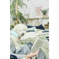thumbnail image 4 of Jason Blue & Citron Green 100% Cotton Accent Throw Blanket 50" x 60", 4 of 5