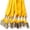 Athletic Gold, variant on 100pcs Flat ID Neck Lanyards for Badges with Bulldog Clip, Maroon by OnDepot