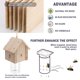 thumbnail image 4 of Trampa para abejas carpinteras estilo cabaña de madera, 4 of 9