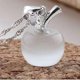 thumbnail image 1 of Collar y colgante de plata de ley 925 con circonitas de cristal para mujer y hombre, estilo manzana 015, blanco, 1 of 4