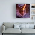 thumbnail image 2 of Sandipan Biswas 'Fire In Canyon' Canvas Art, 2 of 4