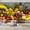 Color 3, variant on Wallpaper Farm Fresh Fruits Vegetables Market Colorful Produce Open Sign Peel and Stick Wall Murals 69"H x 96"W Removable PVC Wall Paper Self-Adhesive Wall Paintings Art Decor for Bedroom Living Room