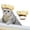 Gold, variant on Adjustable Pet Shower Cap with Secure Ear for Dogs and Cats Bath