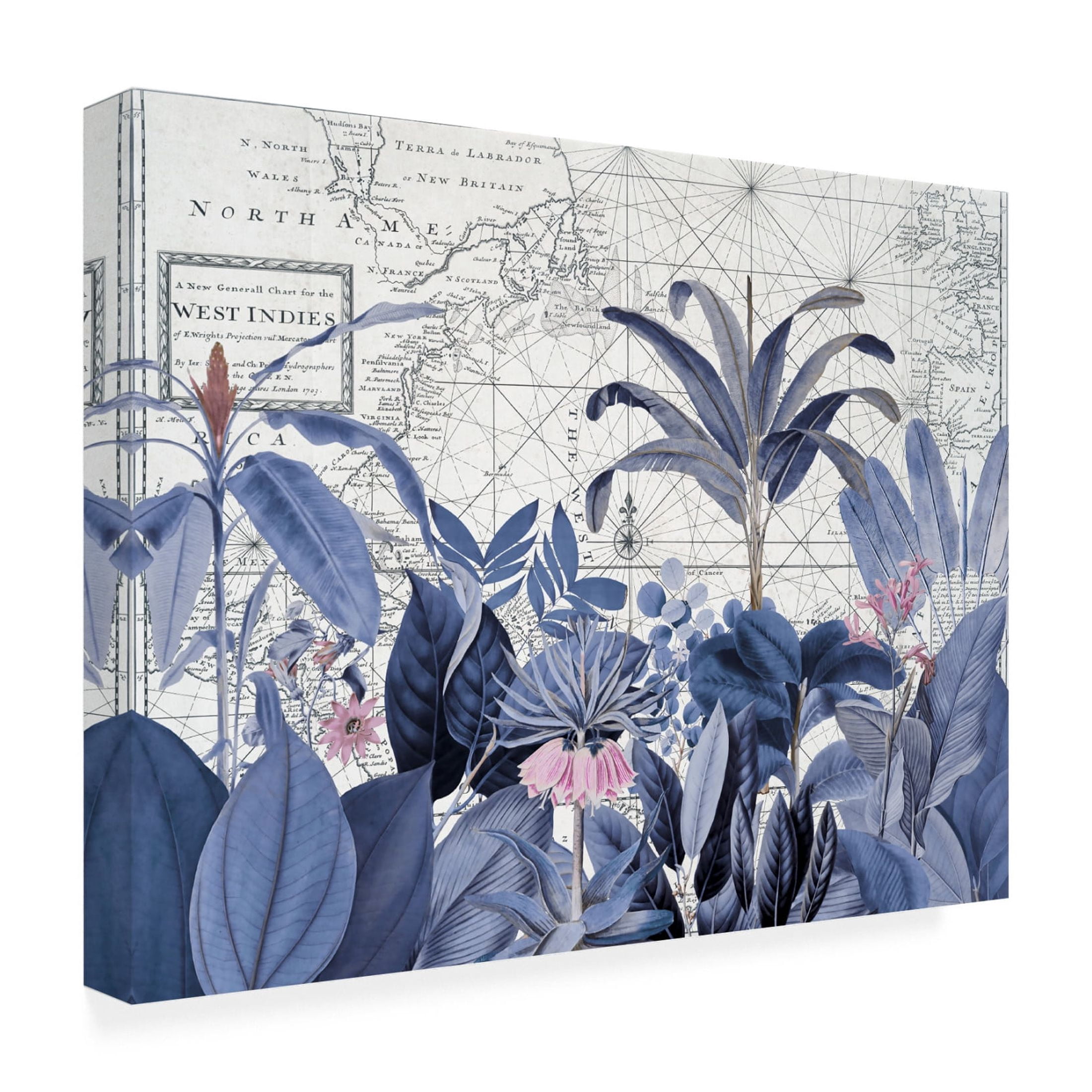 Trademark Fine Art Andrea Haase Exotic Wildlife 005 2 Canvas Wall Art