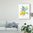 thumbnail image 3 of Trademark Fine Art 'Floursack Lemon II on White' Canvas Art by Danhui Nai, 3 of 4