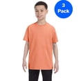 thumbnail image 1 of Hanes Youth Authentic-T T-Shirt - 54500 (Pack Of 3), 1 of 1