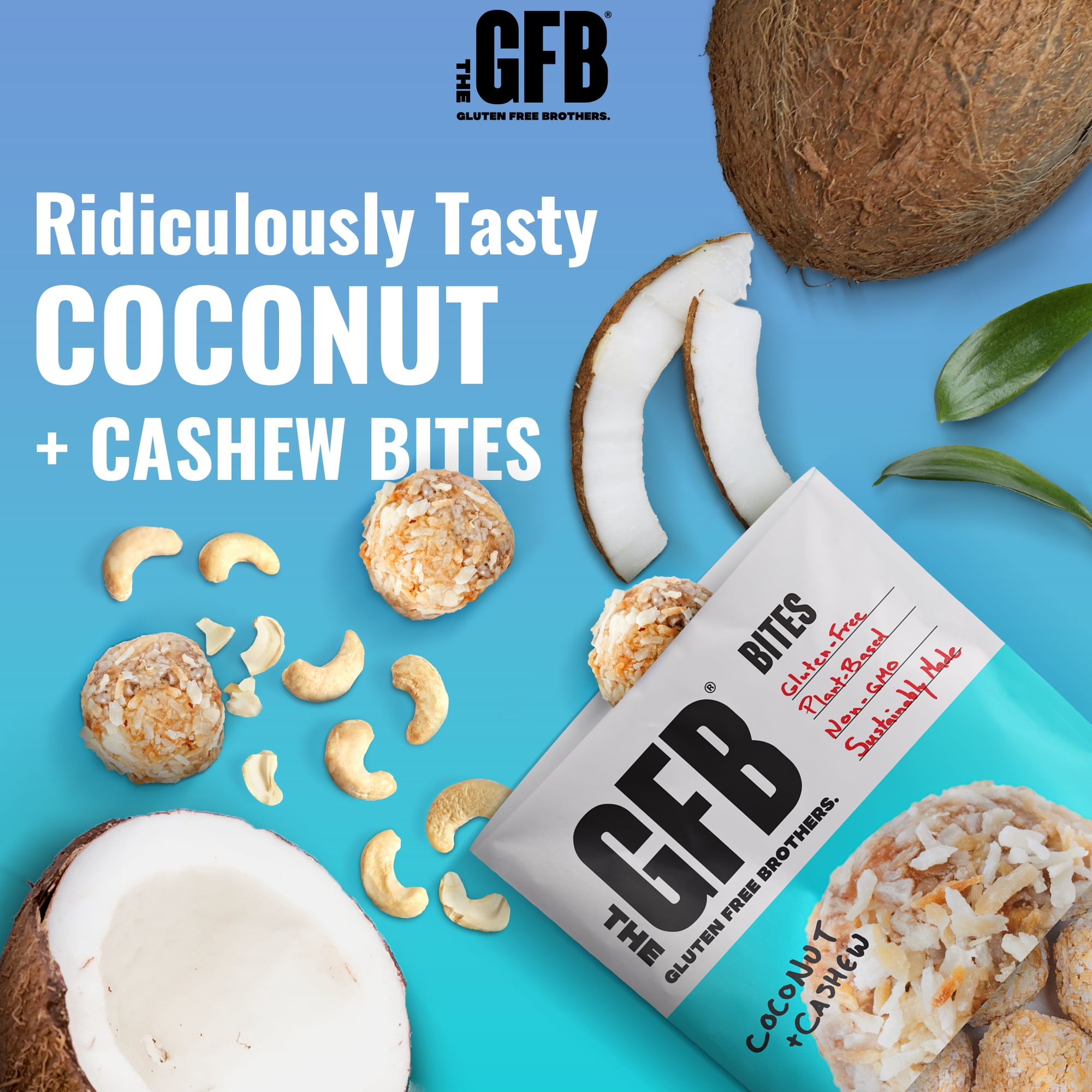 The Gluten Free Brothers Coconut Cashew Bites Protein Balls, Non GMO, Vegan, 6 Count, 4 oz