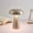 ZZ Silver, variant on Zhi Electroplated Mushroom Table Lamp USB Rechargeable, Ideal for Bar And Home Decor, Modern Light For Table And Accents