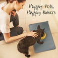 thumbnail image 7 of Prime Pets Silicone Dog Food Mat, Pet Placemat for Dogs and Cats, Waterproof, 18.5x12 in, 7 of 7