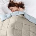 thumbnail image 4 of Modern Threads Reversible Oatmeal & Dusty Blue All-Season Down Alternative Adult Bed Comforter, Queen, 4 of 18