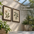 2framed Vintbotanical Wall Art (botany 12x16in Framed) - Walmart.com