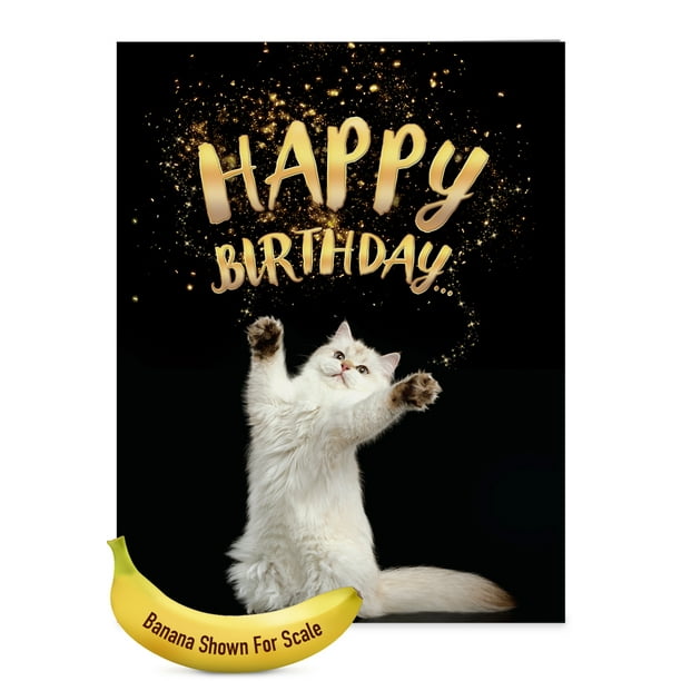 J6112ABDG Jumbo Birthday Card: 'Cat-Sent Greetings' with Envelope ...