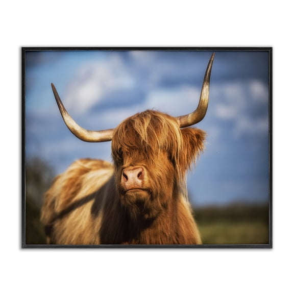 Stupell Industries Farmhouse Beautiful Cow in Pasture Animal Landscape Photo Black Framed Giclee Art, 14 x 11, by Villager Jim