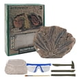 thumbnail image 2 of Real Archaeological Excavation Dinosaur Skeleton DIY Archaeological Plaster Dinosaurs, 2 of 5