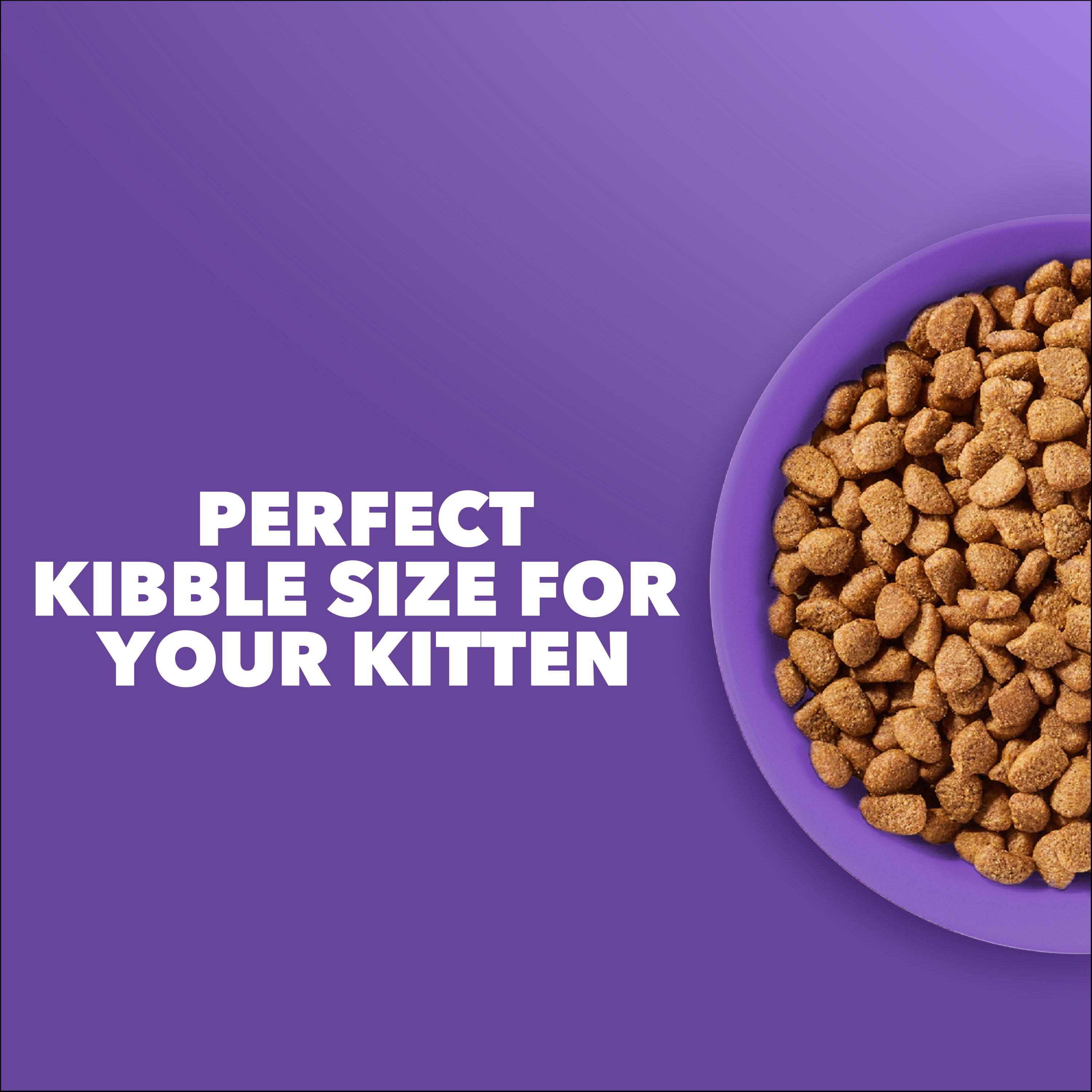 IAMS Proactive Health 1-12 Months Healthy Kitten With Salmon Kitten Food 7 lb