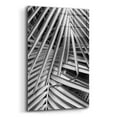 thumbnail image 2 of Epic Art 'Cycad, Michigan 80' by Monte Nagler, Acrylic Glass Wall Art, 12"x16", 2 of 8