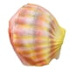thumbnail image 1 of Masquerade Mask Shell Halloween Party Masks Silicone Novelty Latex Head Masks, 1 of 2