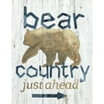 thumbnail image 2 of Nan 20x24 White Modern Wood Framed Museum Art Print Titled - Bear Country, 2 of 4