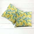 thumbnail image 6 of Ambesonne Garden Throw Pillow Cover 2 Pack, Lemon Citrus Branches, 18", Forest Green Yellow, 6 of 7