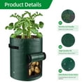 thumbnail image 4 of 10 Gallon 3-Pack Potato Grow Bags,Heavy Duty PE Fabric Pots with Flap and Handles,Green Planter Bags for Potato Vegetables Outdoor Garden,Large for All Plants Growing, 4 of 7