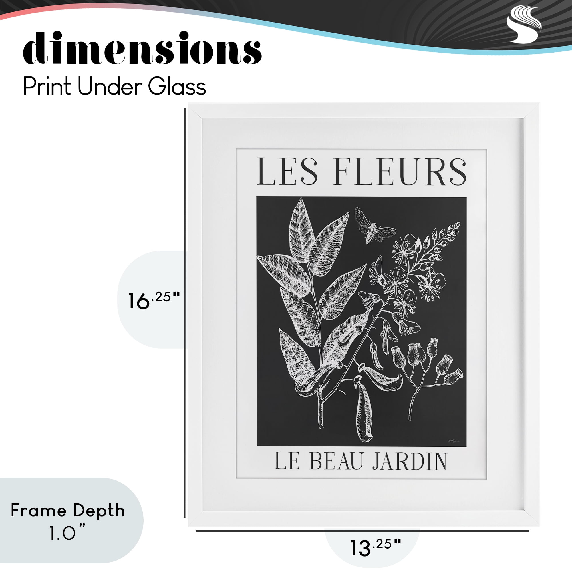 Stupell Industries Les Fleurs Black & White Contour White Framed Print Under Glass, design by Lux + Me Designs