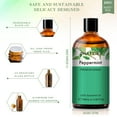 thumbnail image 4 of PHATOIL Peppermint Essential Oils, 100% Pure Natural Aromatherapy Massage Bath Sleep Relaxation 100ml/3.38 fl.Oz, 4 of 8