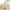 while, variant on Cute Pillows,Star Pillow Light Up Stuffed Animal Toy,Soft Kids Pillow Decorative Small Plush Throw Pillows for Sleeping Bed Sofa Cushion Home Car Fit Girls Boys Child Birthday Christmas-White