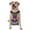With Accessories, variant on Vsdgher Colorful Glitter Rainbow Pattern Dog Harness,No Pull Pet Harness with Soft Padded Handle,Adjustable Reflective Vest with 2 Buckles,4 Slide Buckles,S-XL