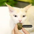 thumbnail image 5 of Cat Snack Catnip Ball Lick Nutrition Ball Molar AU Lot Snacks V9 U7 Y G1, 5 of 8