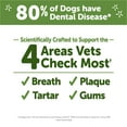 thumbnail image 6 of WHIMZEES by Wellness Hedgehog  Natural Grain Free Dental Chews for Dogs, Large Breed, 6 count, 6 of 11