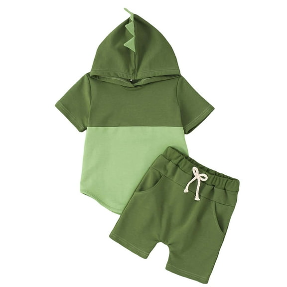 Toddler Boys Dino Graphic Hooded T-Shirt and Shorts Set 2-Piece Playwear Outfit for Active Kids Dinosaur Themed Casual Wear