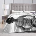 thumbnail image 4 of Tanner Buchanan Soft and Comfortable Warm Fleece Blankets Beach Blanket Picnic Blankets Throw Blankets, 4 of 5