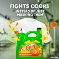 thumbnail image 2 of Gain Liquid Laundry Detergent, Island Fresh Scent, 154 fl oz, 107 Loads, 2 of 14