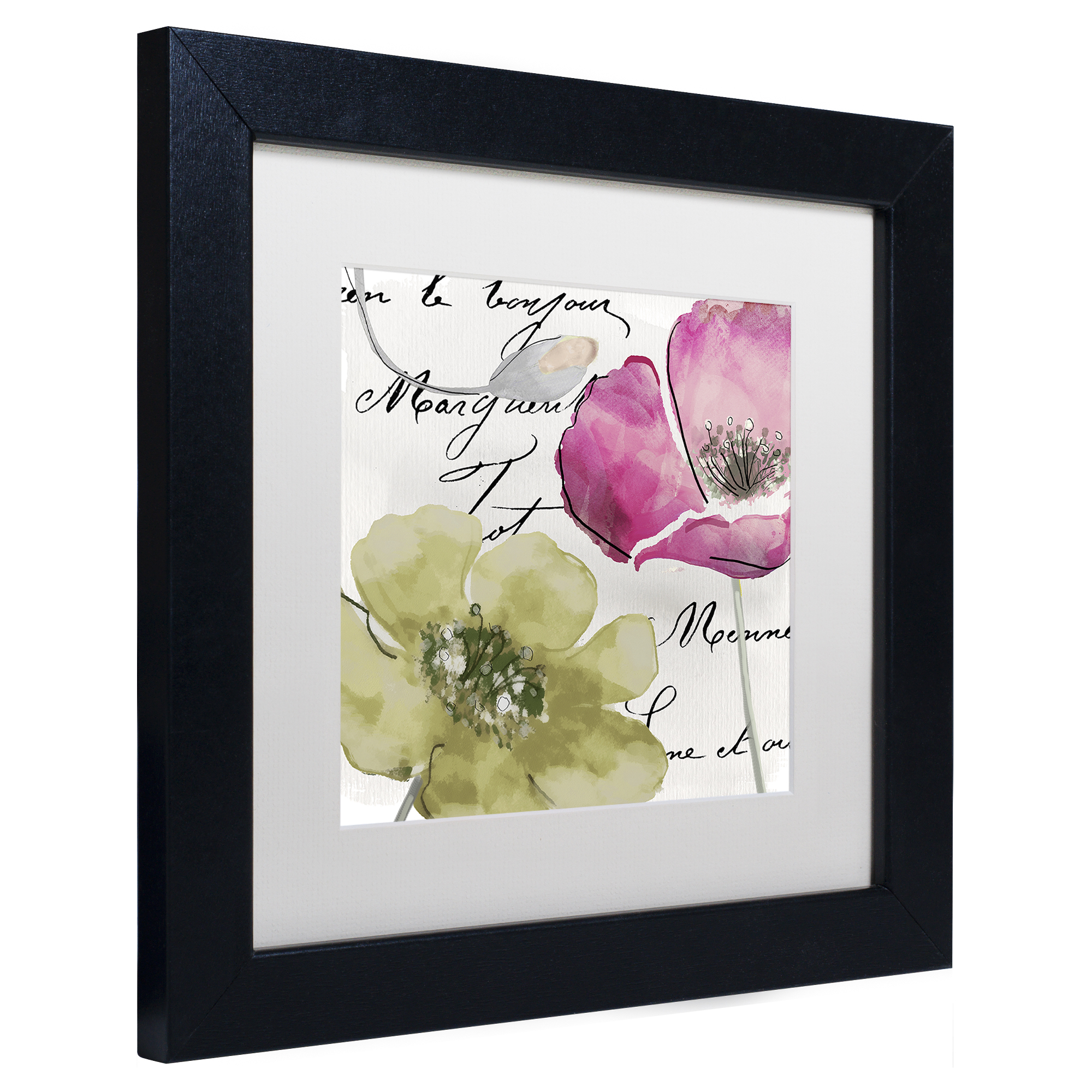Trademark Fine Art 'Fleurs de France IV' Black Framed Art by Color Bakery