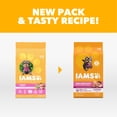 thumbnail image 3 of IAMS Proactive Health Healthy Puppy Chicken Recipe Small Breed Dry Puppy Food, (4) 5 Lb Bags, 3 of 11