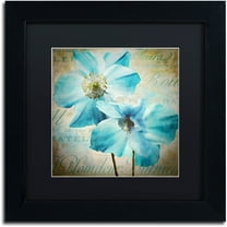 Trademark Fine Art "Himalayan Blue I" Canvas Art by Color Bakery Black Matte, Black Frame