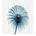 thumbnail image 3 of Ambesonne Modern Shower Curtain, Daisies Flowers Plants, 69"Wx84"L, Teal White, 3 of 5