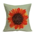 thumbnail image 2 of Summer Style Pillowcase Natural Style Pillowcase Suitable For Living Room Sofa Car Seat Size Is 17.71x17.71 Inches, 2 of 6